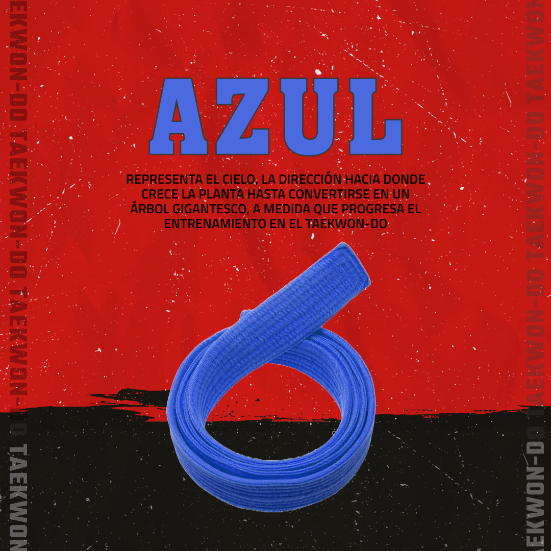 Carrusel educativo: cinturones de Taekwon-Do — 5