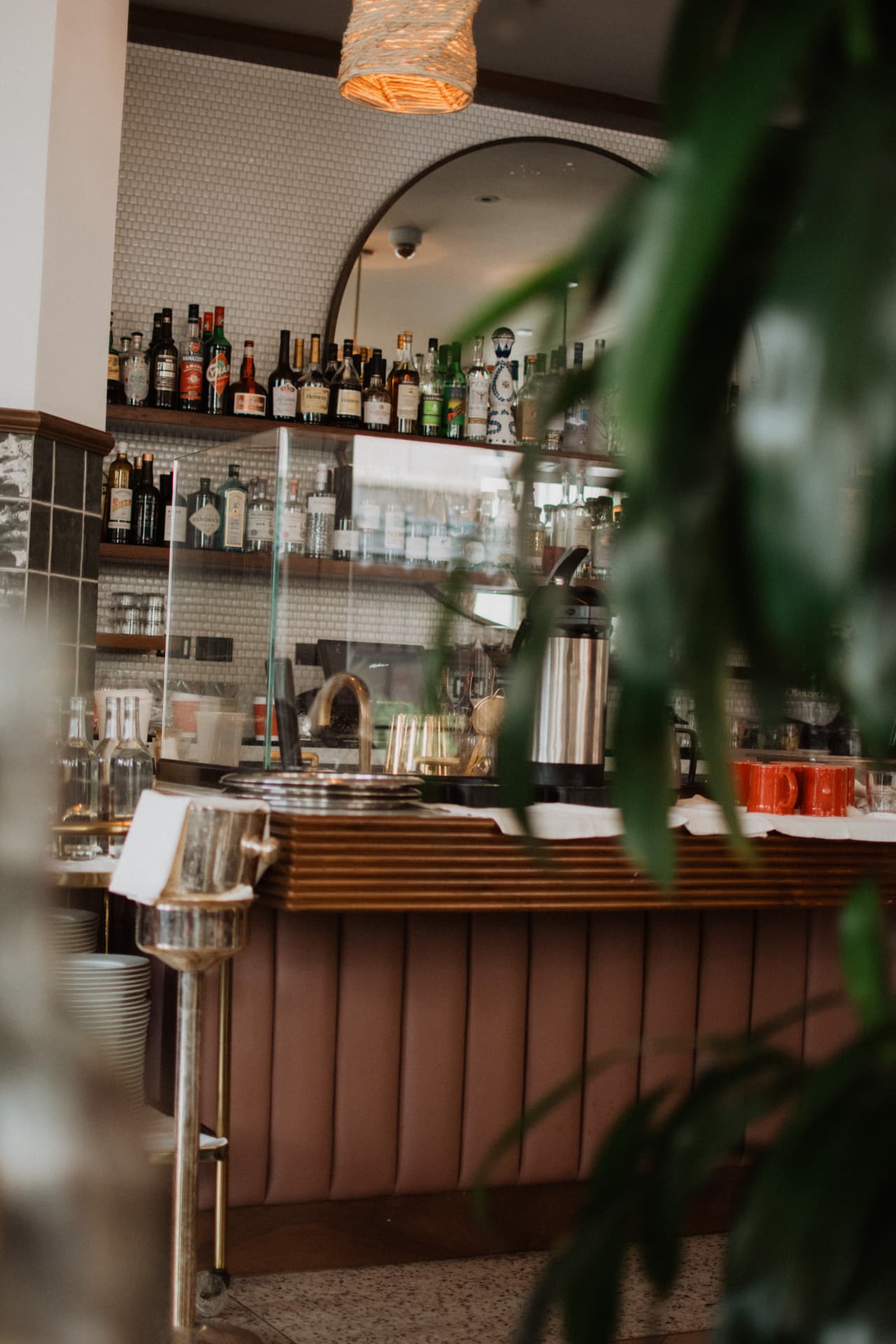 Ambiente de restaurante con barra y plantas