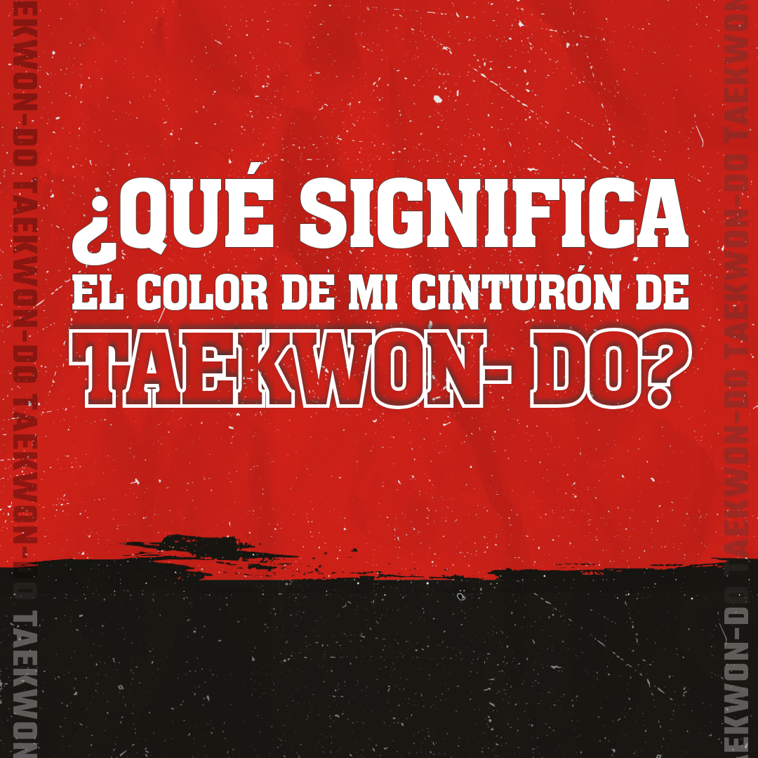 Carrusel educativo: cinturones de Taekwon-Do — 1